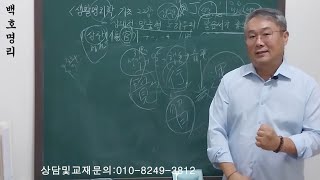 [백호명리] 생활명리학 기초 22강 - 십성론 10 ‘상관 상대적 맞춤형 노하우 및 말솜씨가 좋으려면’ (feat. 상관하지 말란 말이야~!!)