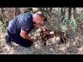 Abandoned chained mom with seven newborn puppies | Full rescue