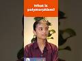 What is Polymorphism? | A Beginner's Guide