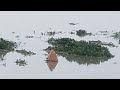 হুগলী নদীতে গঙ্গার জোয়ার আজ high tide in hooghly river today