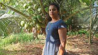 ഇതാണ് എന്റെ കുഞ്ഞിതെങ്ങ് ||susmi'svlog ||minivlog ||kerala daily life ||daily vlog ||simple vlog