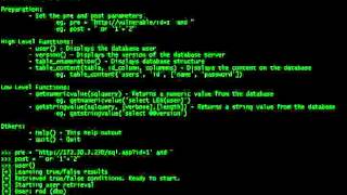Blind SQL injection shell