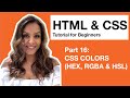 HTML CSS Tutorial for Beginners – 16 – CSS Colors (HEX, RGBA & HSL)