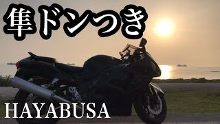 【バイク】隼のドンツキ【モトブログ／GSX1300R隼】vlog14