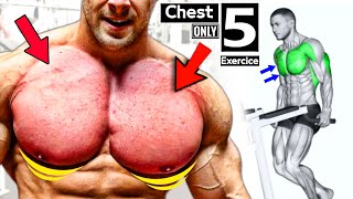Only 5 Best Chest Exercises YOU Should Be Doing  - MY FITNESS