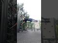 Defying Gravity #shorts #youtubeshorts #motivation #trending