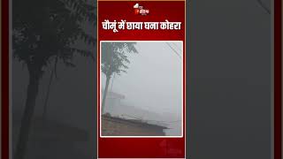 Rajasthan Weather Update: चौमूं में छाया घना कोहरा | Frost | Winter Season | Fog In Chomu