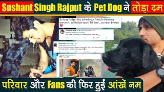 Big Breaking: Sushant Singh Rajput के पास पहुंचा Pet Dog Fudge, Actor की मौत के ढाई साल बाद हुआ निधन