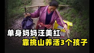 单亲妈妈汪美红，挑山19年养活三个孩子，并将子女送进重点大学