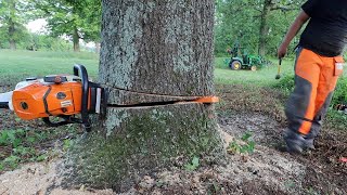 When Felling a Tree Doesn’t Go According To Plan - Stihl 500i