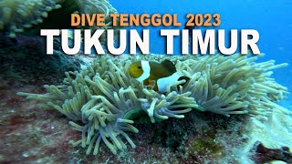 #DIVELOG Tenggol Island 2023 : Dive Site TUKUN TIMUR - Che Wan Scuba