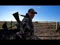 coyote attacks foxpro x decoy