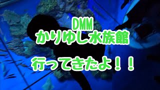 【DMMかりゆし水族館】新しいカタチのエンターテイメント水族館！！家族旅行で行って来ました！