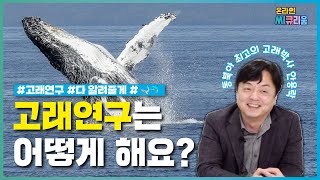 [씨큐앤에이] 고래편-1 고래는 어떻게 연구할까?