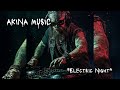 AKINA MUSIC — Electric Night