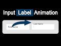 Input Field Label Animation Using  HTML and CSS | Input Animation using CSS
