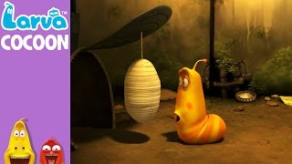 [Official] Cocoon - Mini Series from Animation LARVA