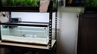 Building a New Aquarium Shelf!