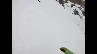 Dog tumbles down ski run