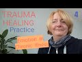 Patricia Worby Alchemy Therapies - Trauma Healing Practice 4 -Role of emotions in CFS/ME Fibro