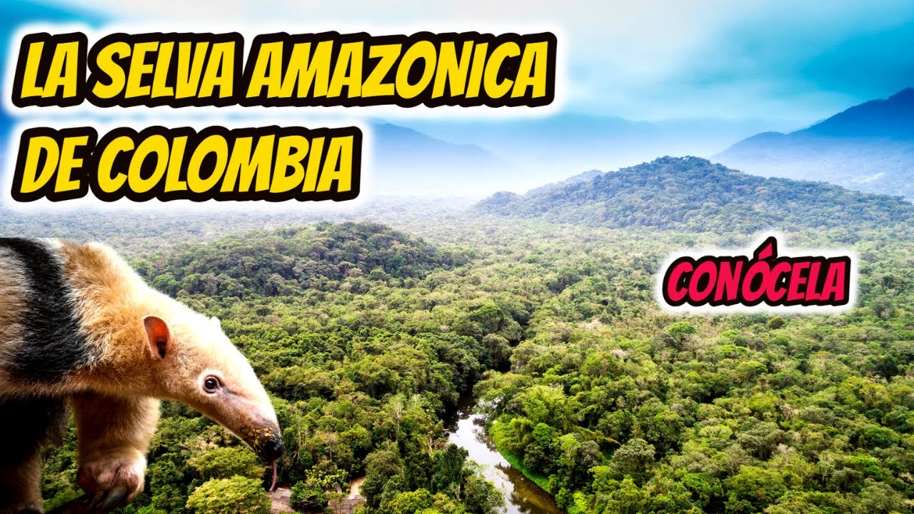 LA SELVA DE COLOMBIA, La Selva De Colombia Documental, LA SELVA ...