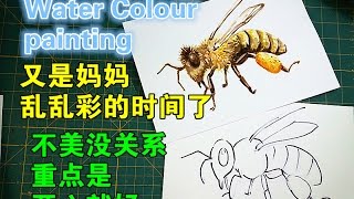 How to draw a bee-- Water colour painting--昆虫水彩篇-❤❤