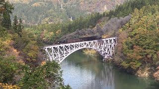 SL只見線紅葉号 2015年10月31日,11月1日