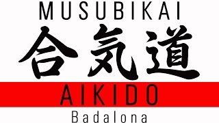 MUSUBIKAI AIKIDO BADALONA