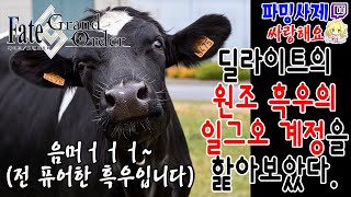 페그오 상위 1% 미만 흑우는 어떤 맛일까? [일그오]