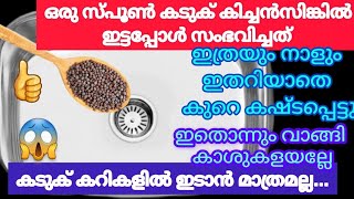 കിച്ചൻ സിങ്കിൽഒരു സ്പൂൺ കടുക് ഇട്ടു നോക്കൂ 😱 ഇതറിയാതെ എത്രയോ കഷ്ടപ്പെട്ടു|mustard in kitchen sink