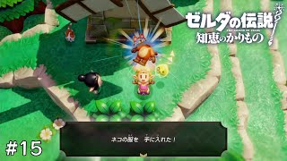 これが本当の”ゼルダ”の伝説【ゼルダの伝説 知恵のかりもの】#15