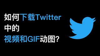 No118. 如何下载Twitter中的视频和GIF动图？ #Twitter #视频 #GIF