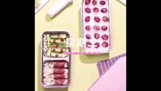 RECTANGULAR PORTABLE ELECTRIC THERMAL LUNCH BOX 方形手提式电热饭盒