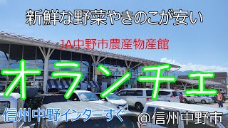 【安い】野菜に果物、きのこ。農産物直売所、長野県JA中野市農産物産館オランチェ#旅行 #長野県