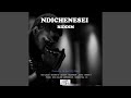 Ndichenesei