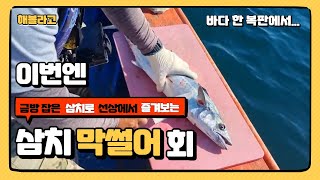 이번엔 삼치 회다(선상에서 막 썰어 먹는)