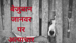 Bezuban janwar per atya chaar  ? बेजुबान जानवर पर अत्याचार  ? #shubhammotivationalthought