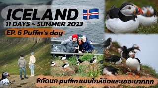 SEAYA - VLOG ICELAND EP6. พิกัดนก puffin แบบใกล้ชิดและเยอะมากๆ