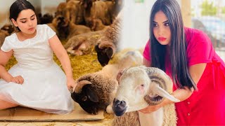 فيلم قصير : إمرأة فقيرة لم تستطيع شراء خروف 🐏 عيد الأضحى لبنتها اليتيمة😢..بسبب إرتفاع سعر الأغنام