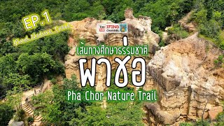 เส้นทางศึกษาธรรมชาติผาช่อ | Ifind Nature Trail EP.1