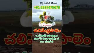 AP CRDA OPEN PLOTS FOR SALE IN Chalivendram Palem | CALL  +91 8297475678