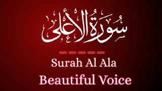 Surah Al Ala | Surah aala beautiful voice | with Arabic text | Dr Subayyal Ikram