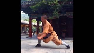 少林虎拳