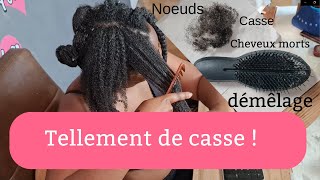 N'UTILISEZ PAS LE PEIGNE A DENTS LARGES SUR LES CHEVEUX CREPUS