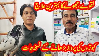 Kabootar K Jholy Or Laqway Ka Ilaj 100% || Khawaja Mujeeb || Kabootar Bazi,