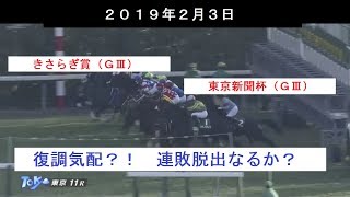 おっさんの日常　～競馬編　きさらぎ賞・東京新聞杯～