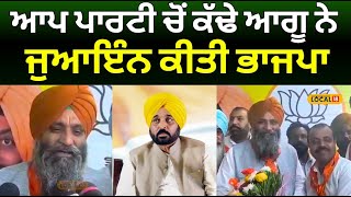 Gurdaspur News | ਆਪ ਪਾਰਟੀ 'ਚੋਂ ਕੱਢੇ ਆਗੂ ਨੇ ਜੁਆਇੰਨ ਕੀਤੀ BJP| Byelection | Dera Baba Nanak | #local18