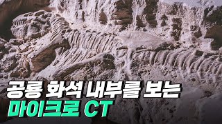 [핫클립] 마이크로 CT로 공룡 화석 내부를 살펴보다 / YTN 사이언스