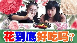 替你品尝鲜花做的点心 洛阳特产牡丹花饼 牡丹花蜜饯