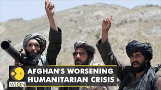 UN Report: Taliban killed over 100 ex-Afghan officials | World News | Top International Headlines